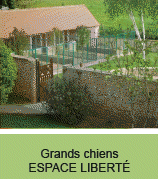 Pension gros chiens