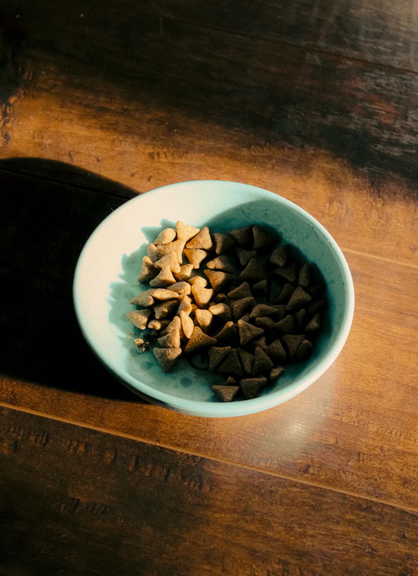 Friandises pour animaux présentées dans une gamelle
