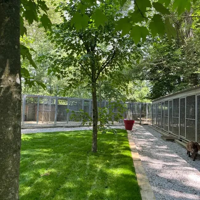 Allée et pelouse bordant les appartements de l’espace liberté