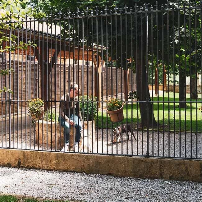 Cour clôturée et ombragée de l’espace tranquillité avec une soigneuse et des petits chiens