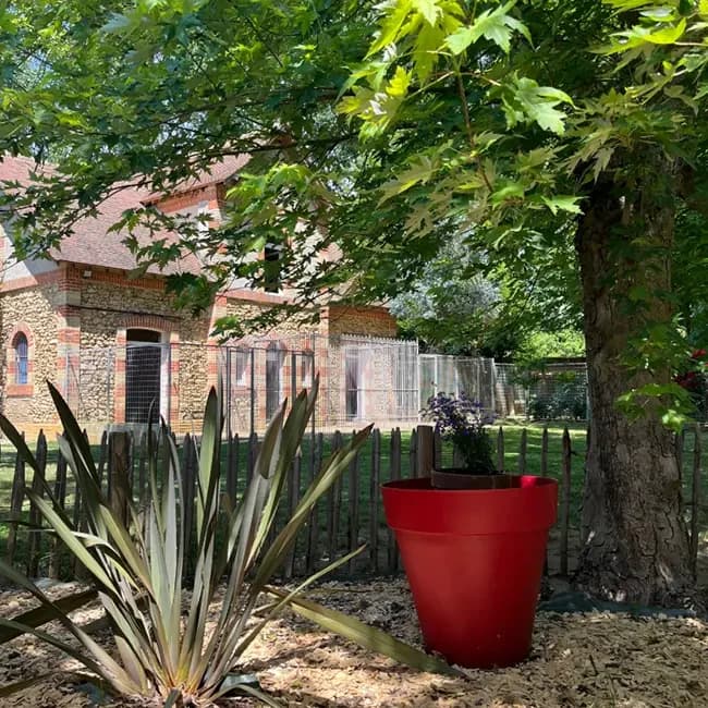 Jardin et façade des logements de l’espace vitalité