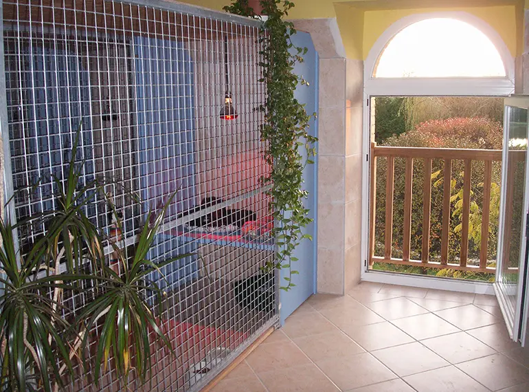 Chatterie des orchidées