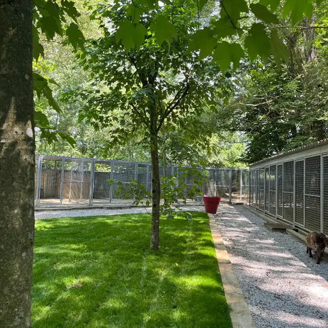 espace-liberte-auberdog02