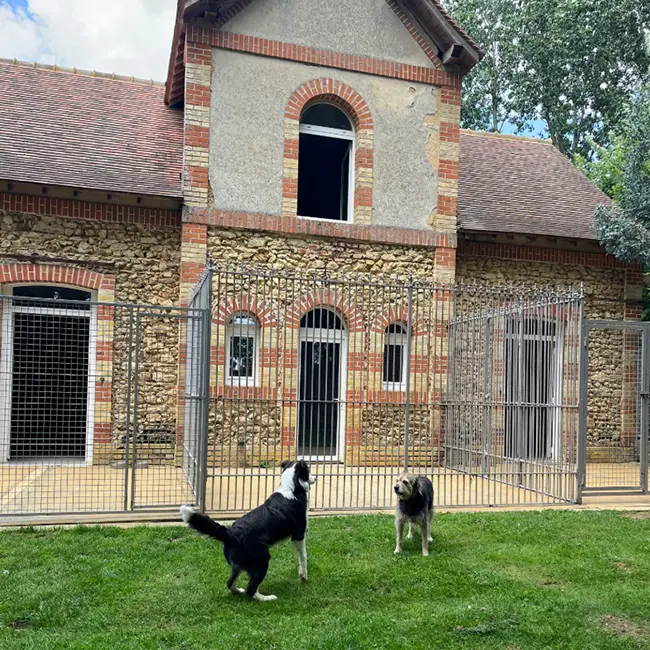 espace-vitalite-auberdog02