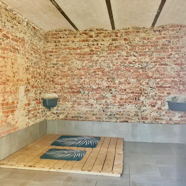 espace-vitalite-auberdog03